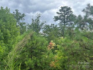 tbd Lobelia Lane 72, Boone, NC 28607