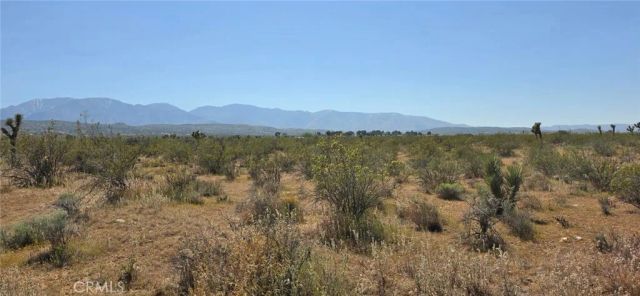 0 175th St E W14, Llano, CA 93591
