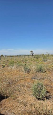 0 175th St E W14, Llano, CA 93591