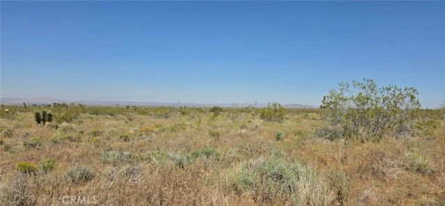 0 175th St E W14, Llano, CA 93591