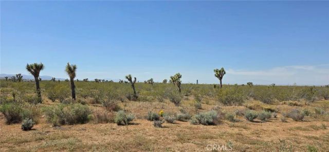 0 175th St E W14, Llano, CA 93591