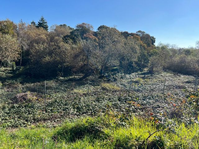 91 Alta Vista Avenue, Watsonville, CA 95076