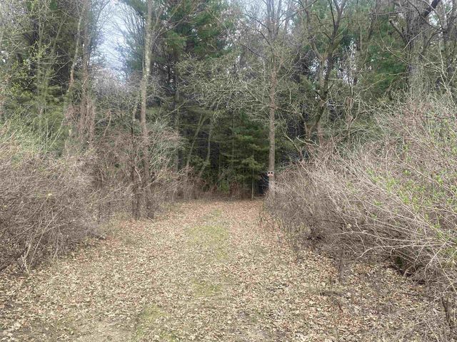 42.53A COUNTY ROAD Q, Amherst Junction, WI 54407