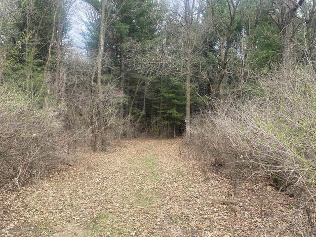 42.53A COUNTY ROAD Q, Amherst Junction, WI 54407