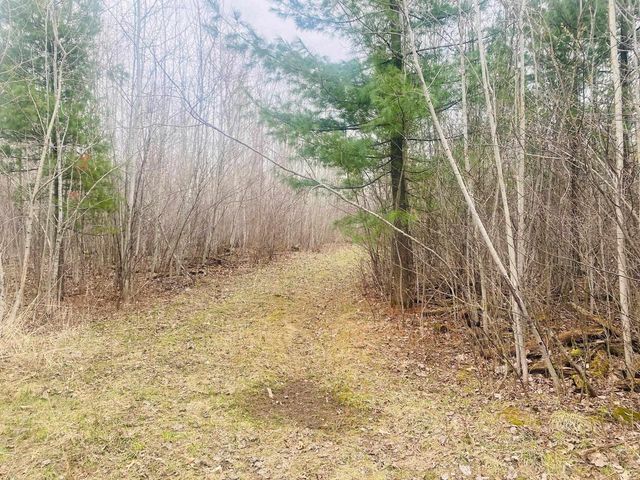 42.53A COUNTY ROAD Q, Amherst Junction, WI 54407