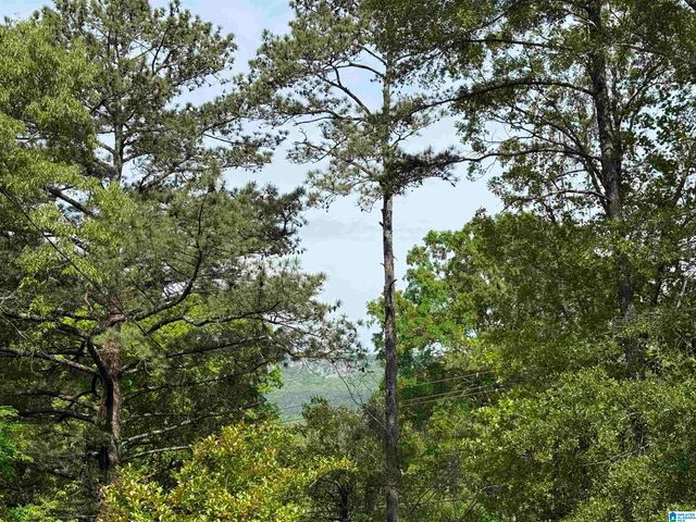 9620 HIGHWAY 78, Pell City, AL 35125