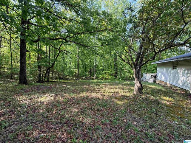 9620 HIGHWAY 78, Pell City, AL 35125