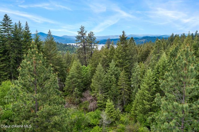 6557 S Buckrail RD, Harrison, ID 83833