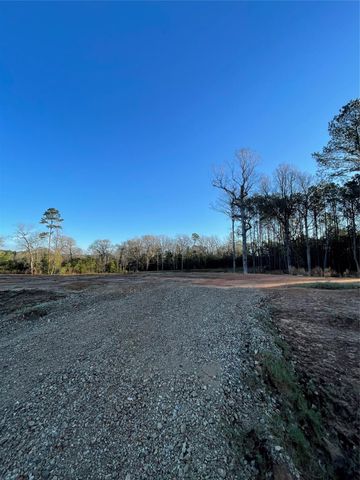 11374 Annie Creek Drive, Willis, TX 77378