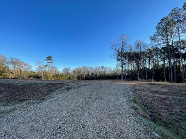 11374 Annie Creek Drive, Willis, TX 77378