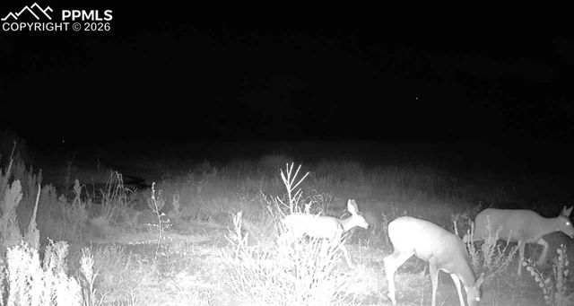 18320 Falcon Highway, Peyton, CO 80831