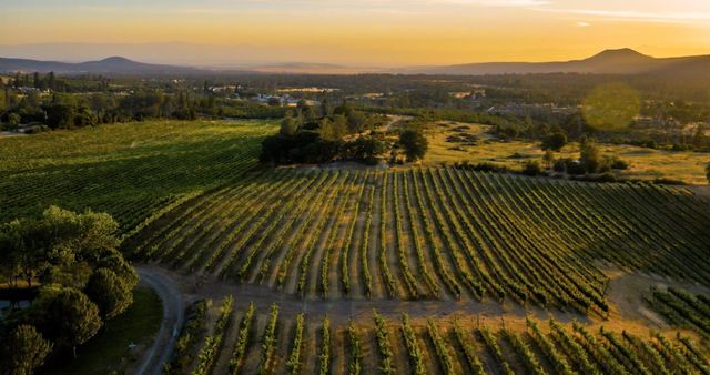 31630 Forward Rd., Manton, CA 96059