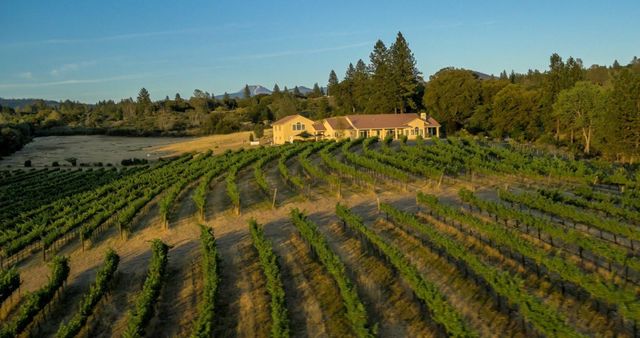 31630 Forward Rd., Manton, CA 96059