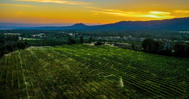 31630 Forward Rd., Manton, CA 96059