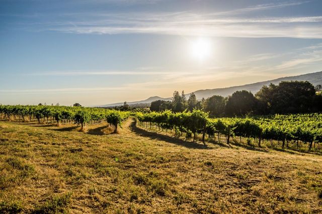 31630 Forward Rd., Manton, CA 96059