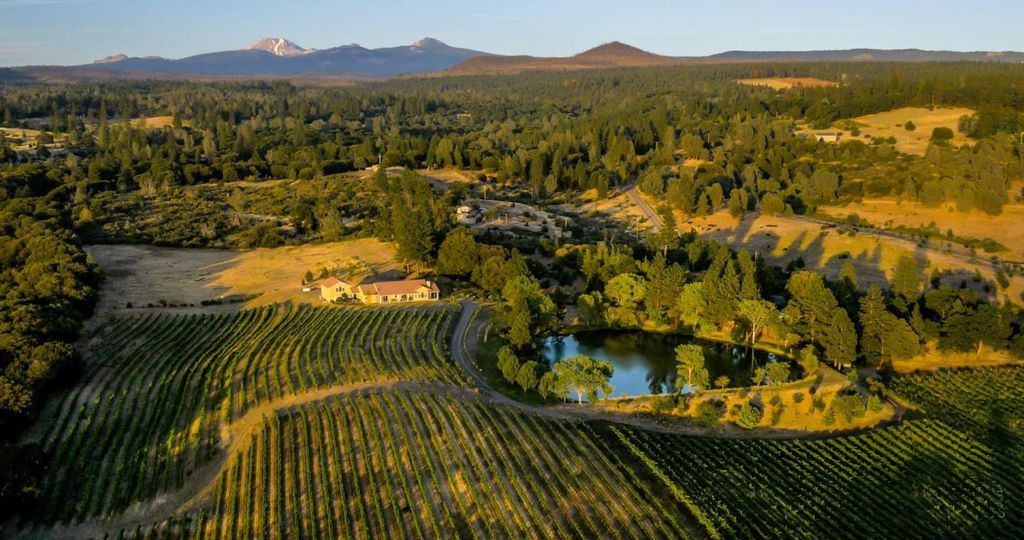 31630 Forward Rd., Manton, CA 96059