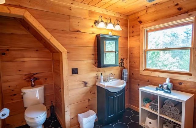 298 Eagle Lake Rd, Coalmont, TN 37313