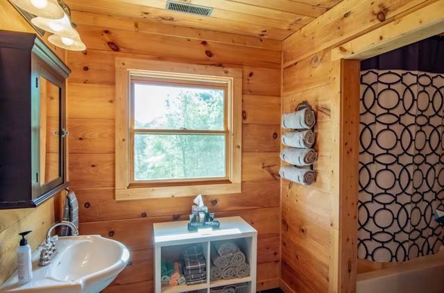 298 Eagle Lake Rd, Coalmont, TN 37313