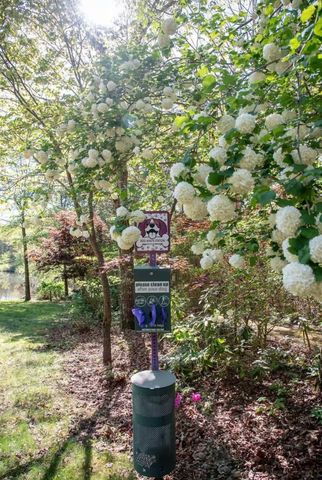 298 Eagle Lake Rd, Coalmont, TN 37313