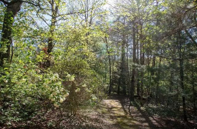 298 Eagle Lake Rd, Coalmont, TN 37313