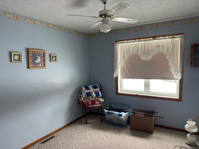 16236 305th Avenue, Detroit Lakes, MN 56501