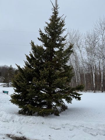 16236 305th Avenue, Detroit Lakes, MN 56501