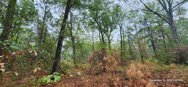 TBD Zed Creek Road, Lufkin, TX 75904