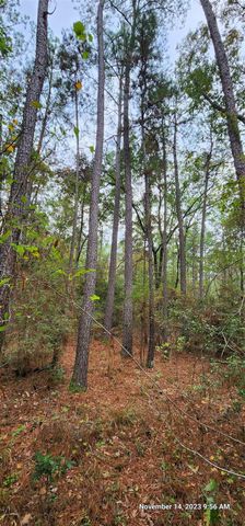 TBD Zed Creek Road, Lufkin, TX 75904