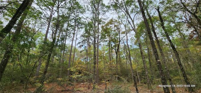 TBD Zed Creek Road, Lufkin, TX 75904