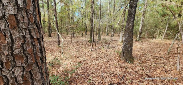 TBD Zed Creek Road, Lufkin, TX 75904