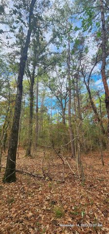 TBD Zed Creek Road, Lufkin, TX 75904