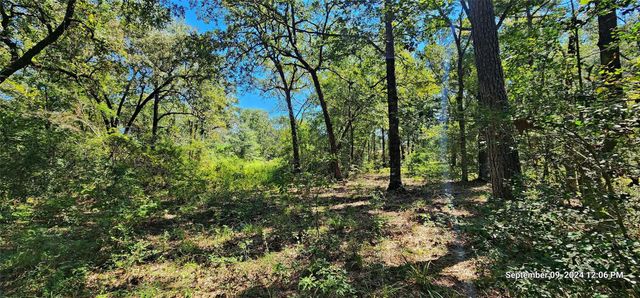 TBD Zed Creek Road, Lufkin, TX 75904