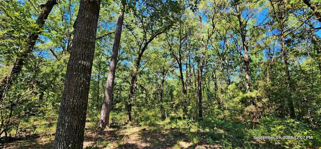 TBD Zed Creek Road, Lufkin, TX 75904