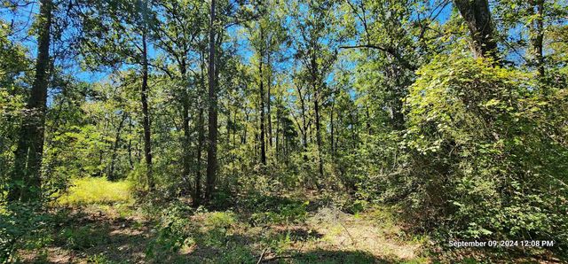 TBD Zed Creek Road, Lufkin, TX 75904