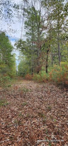 TBD Zed Creek Road, Lufkin, TX 75904