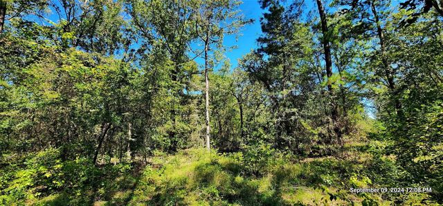 TBD Zed Creek Road, Lufkin, TX 75904