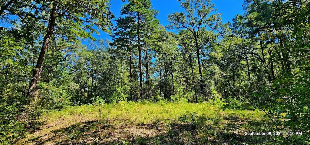 TBD Zed Creek Road, Lufkin, TX 75904