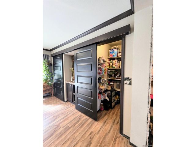 388 Sequoia Dr, Twin Lakes, CO 81251