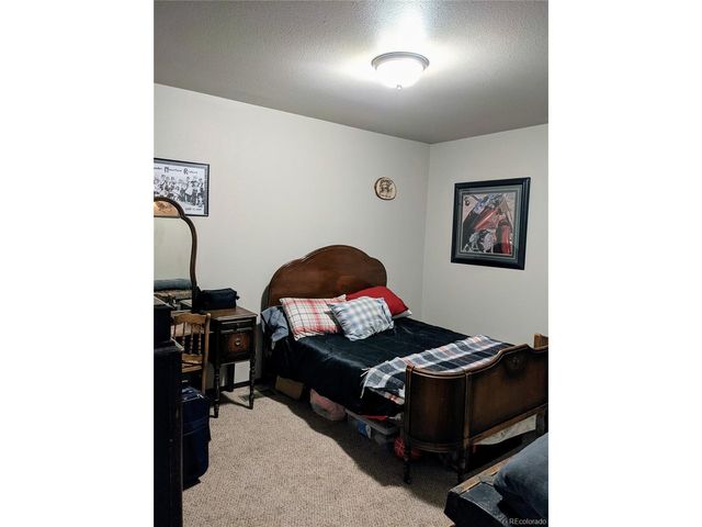 388 Sequoia Dr, Twin Lakes, CO 81251