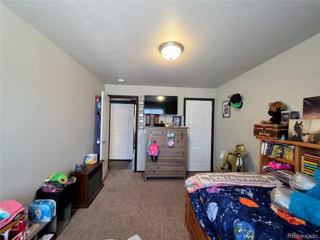 388 Sequoia Dr, Twin Lakes, CO 81251