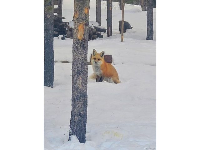 388 Sequoia Dr, Twin Lakes, CO 81251