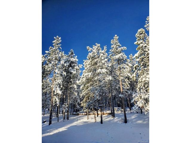 388 Sequoia Dr, Twin Lakes, CO 81251