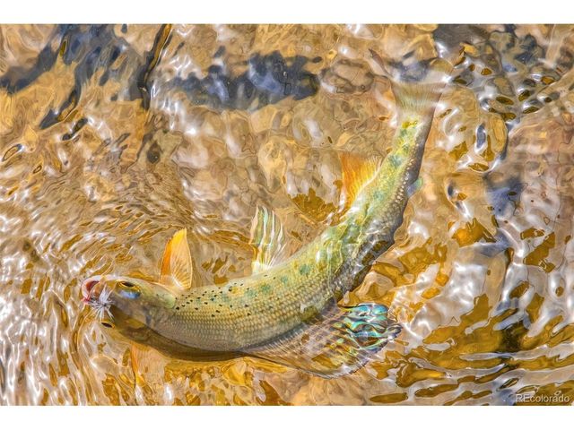 388 Sequoia Dr, Twin Lakes, CO 81251