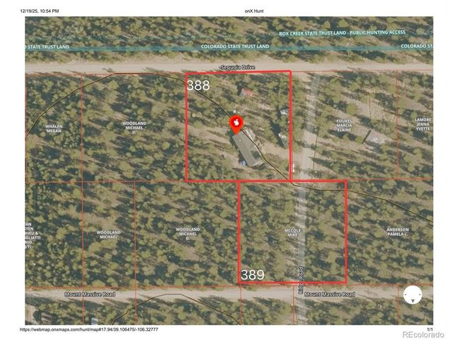 388 Sequoia Dr, Twin Lakes, CO 81251