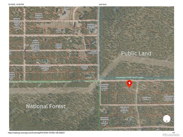 388 Sequoia Dr, Twin Lakes, CO 81251