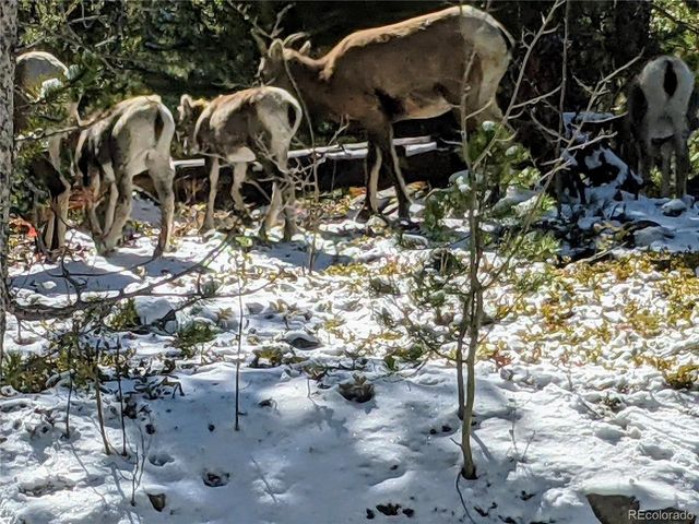 388 Sequoia Dr, Twin Lakes, CO 81251