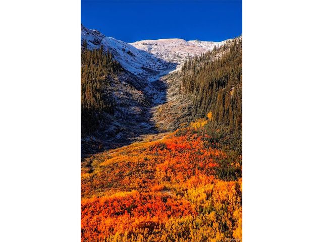 388 Sequoia Dr, Twin Lakes, CO 81251