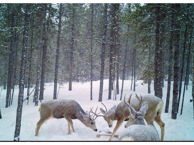 388 Sequoia Dr, Twin Lakes, CO 81251