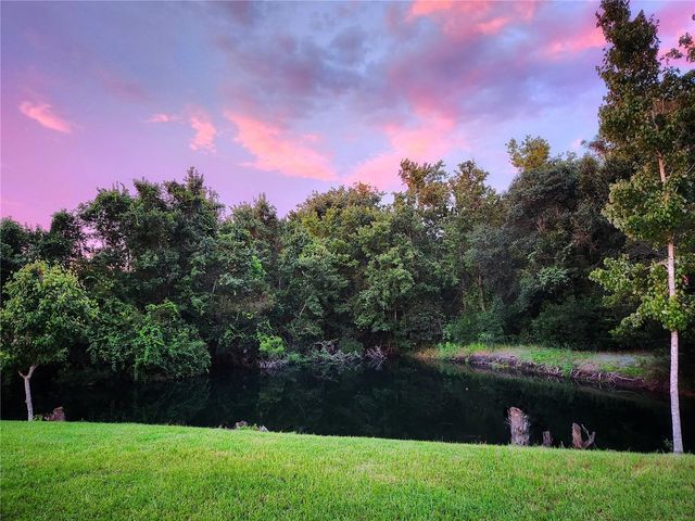 4230 MEDBURY DRIVE, Wesley Chapel, FL 33543