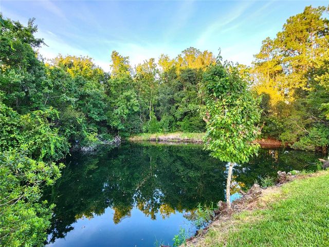 4230 MEDBURY DRIVE, Wesley Chapel, FL 33543